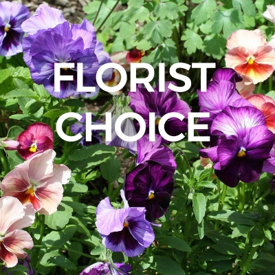 Florists Choice Arrangement