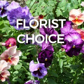 Florists Choice Arrangement