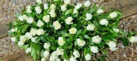 white rose casket spray